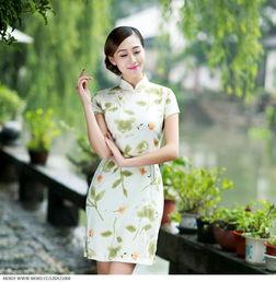 国产旗袍拍照视频网站,国产旗袍拍照视频网站带你领略东方韵味