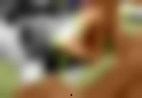 国产欧美闺蜜视频在线看,在线观看闺蜜间的欢乐时光