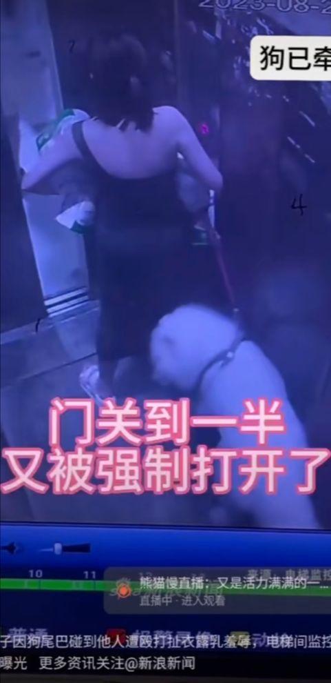 国产狗狗与女人视频,国产狗狗与女人温馨互动瞬间