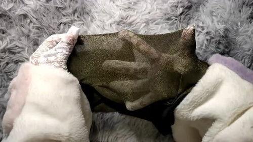 国产丝袜开箱视频网站,国产丝袜品牌盘点与评测